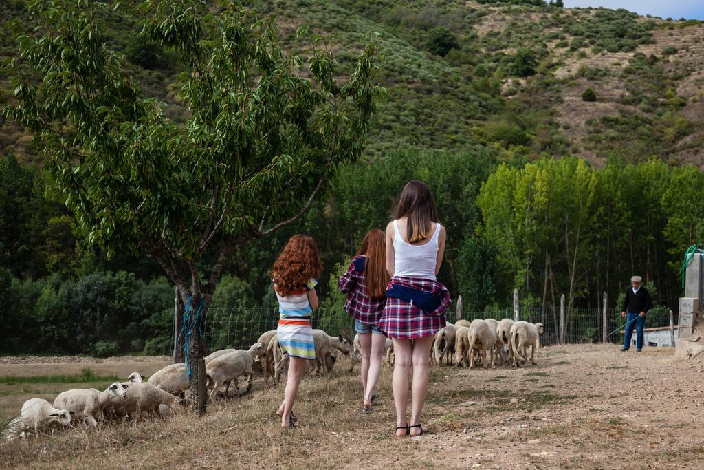 A. Montesinho Turismo Villa Bragança Dış mekan fotoğraf